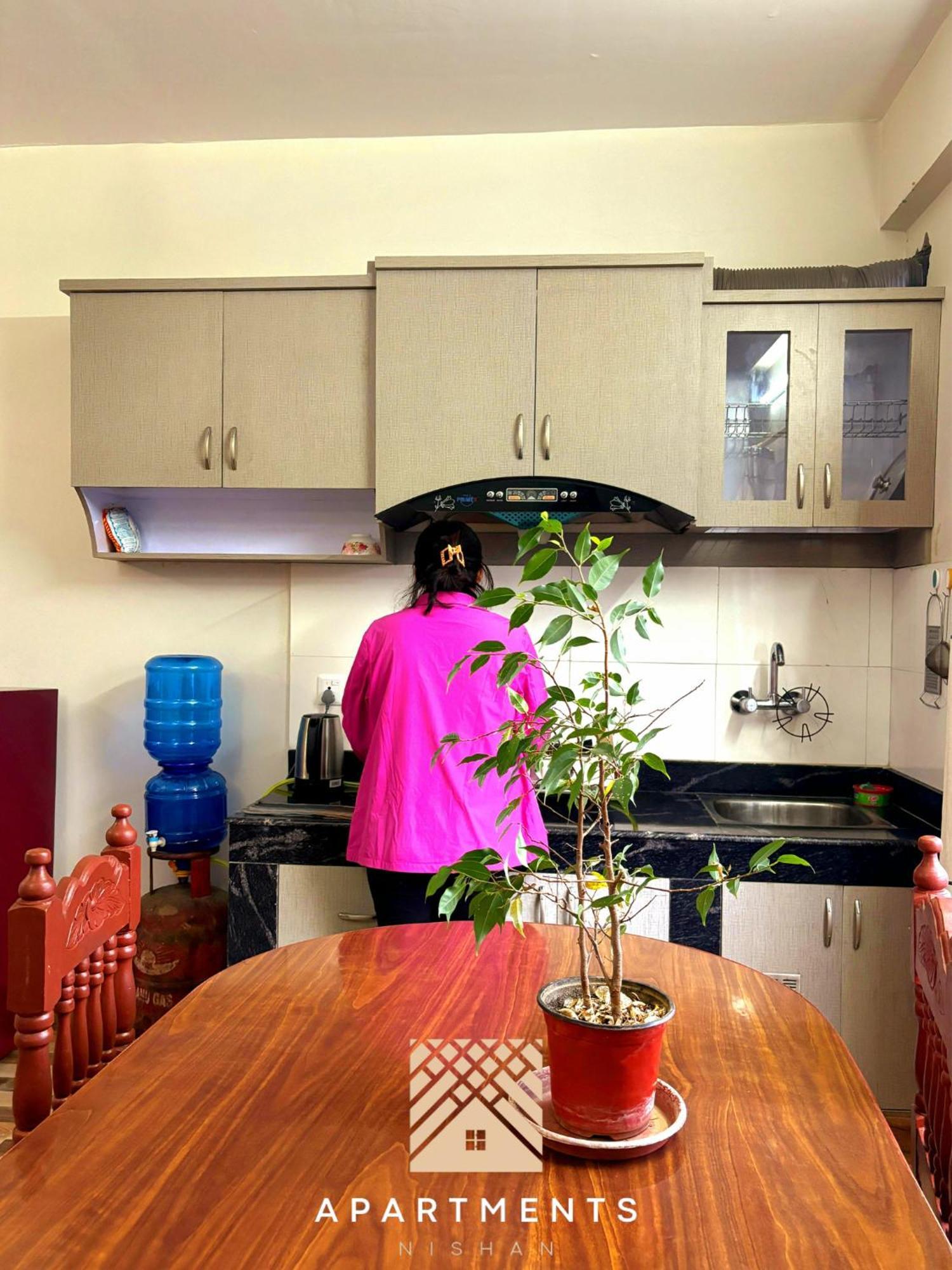 פוקהרה Nishan Apartments -Lakeside מראה חיצוני תמונה